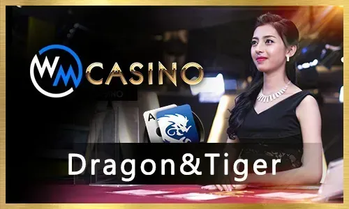Jili Bet Live Casino